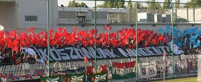 Gyr_2010___GALeRIA.jpg
